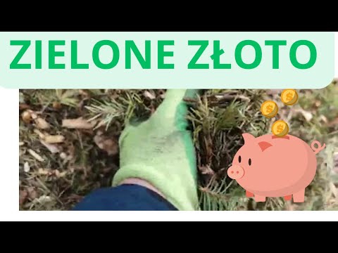 ZIELONE ZŁOTO OGRODNIKA...