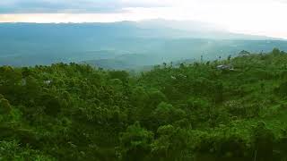 Download lagu Cântare creștină cu versuri 'Chiar dacă și munții' - Mariana Someșan mp3 Download lagu Cântare creștină cu versuri 'Chiar dacă și munții' - Mariana Someșan mp3