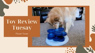 Toy Review Tuesday - Flower Tower by Trixie dog enrichment activity