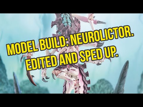 Model Build: Neurolictor