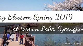 preview picture of video 'KOREA SPRING TRIP!! Bomun Lake Cerry blossom (보문단지 벚꽃) part 1'