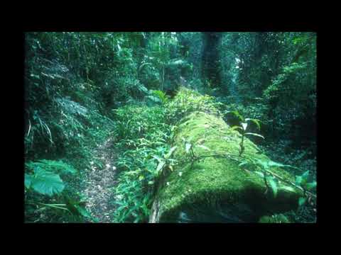 05. sincerityisdead - more than anything else