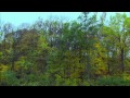 Documentary Nature - Nature's Colors With The World's Greatest Music