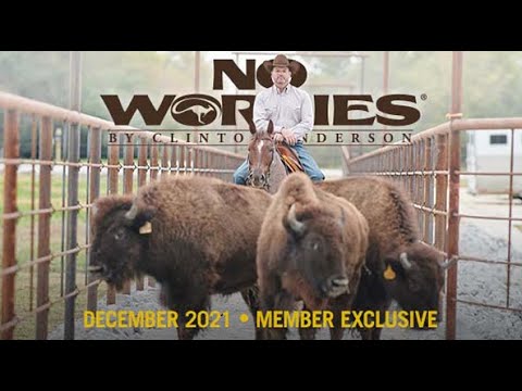 December No Worries Club Preview: Training Buffalo, Part 1