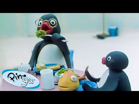 Pingu's Family ???? | Pingu - Official Channel | Cartoons For Kids