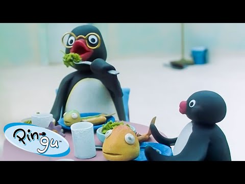 Pingu's Family 🐧 | Pingu – Official Channel | Cartoons For Kids - Kids (0-4), Kingdom Kids Zone - Pingu - Official Channel