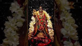 Download lagu #muruganwhatsappstatustamil #murugan #murugantemple  #tamil murugan Tamil status # mp3 Download lagu #muruganwhatsappstatustamil #murugan #murugantemple  #tamil murugan Tamil status # mp3