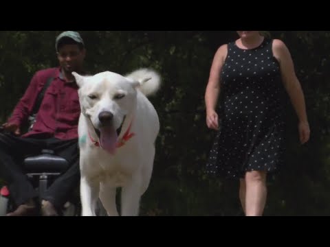 Natchitoches parish residents adjust as widespread power outages continue