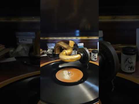 I Never Knew - Lou Gold his Orch (Red Nichols) Silvertone Records #3226 1925 (Harmony Records #64)