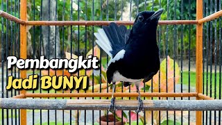 Download lagu KACER NGEPLONG EMOSI PANCINGAN BIKIN BUNYI mp3 Download lagu KACER NGEPLONG EMOSI PANCINGAN BIKIN BUNYI mp3