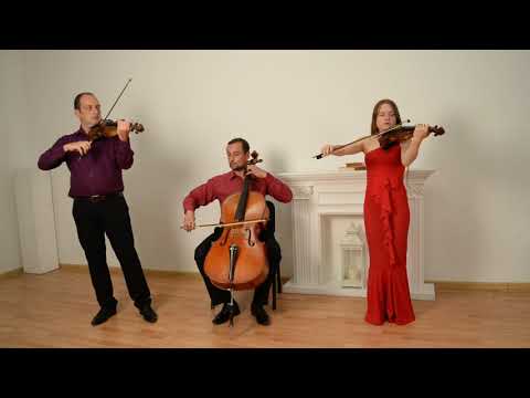 Струнный ансамбль "Primavera", відео 1