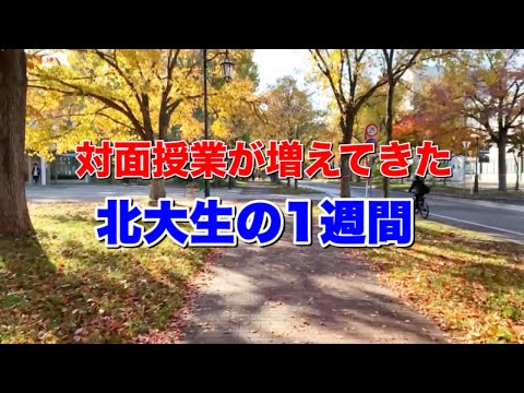 法学課程 対面授業が増えてきた北大生の1週間