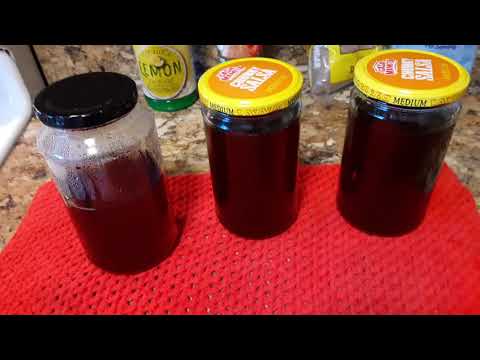 Honey Substitute, Vegan Honey, Dandelion Honey/syrup, Poor Man's Honey  🍯