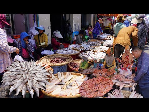 Cambodian Dry Fish Market Scene - Massive Kind of Dry Fish, Frog, Beef & More Buffalo In Dry Market
