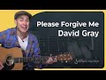 Please Forgive Me - David Gray - Easy Acoustic ...