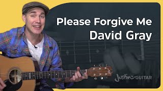 Please Forgive Me - David Gray - Easy Acoustic Beginner Guitar Lesson (BS-601)