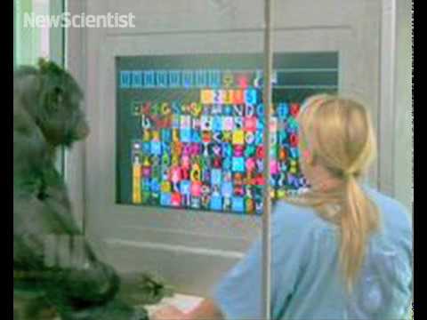 New Scientist TV - Nov 2009
