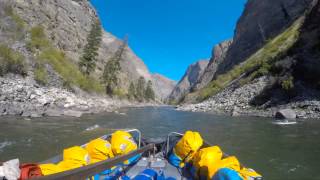 Driving sweep boat through Impassable Canyon, Middle Fork of the Salmon