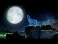 MORTAL KOMBAT 11 Nightwolf Reveal Trailer NEW Victory Pose