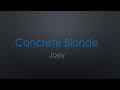 Concrete Blonde Joey Lyrics