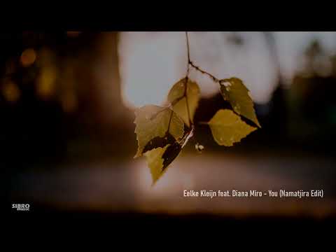 Eelke Kleijn feat. Diana Miro - You (Namatjira Edit)