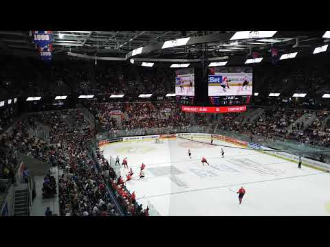 2015-08-27 Поддержка в Мангейме. Адлер - Неман /Crazy support in Mannheim. Adler vs Neman