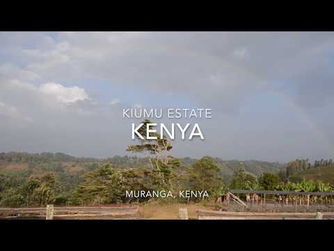 Kenya Sourcing Trip 2017 thumbnail