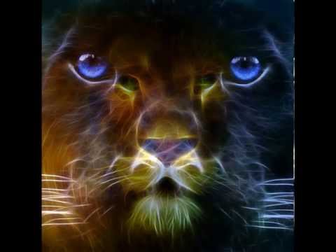 Lyon feat. Vlad CM-Precaut