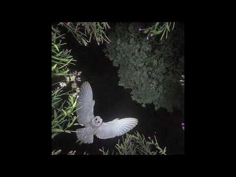 NeS x Zeu Type Beat - OWL