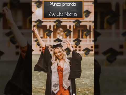 Pfunzo phanda (Official Audio) - Zwido Nems