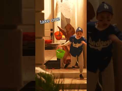 I Exposed Naughty Trick-Or-Treaters