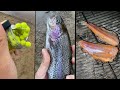 EASIEST Way to Catch Stocked Trout (for Beginners)!