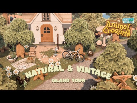 fun islands to visit animal crossing