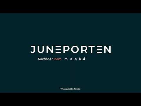 Videoklipp