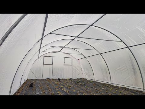 Tunel foliowy “Almir” z ocynkowanej rury kwadratowej