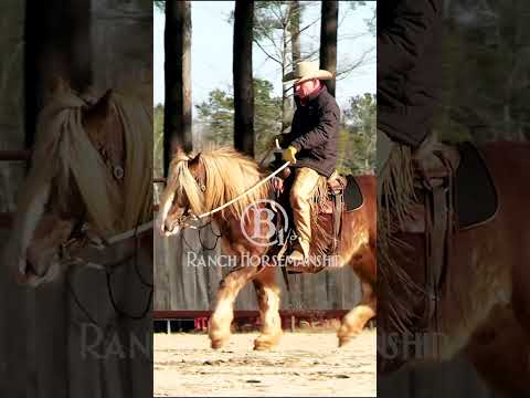 If the horse gets distracted, go to the one-rein stop.  #b1 #es20  #horseriding