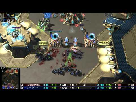 Sacsri v Welmu   ZvP G1