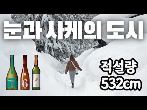 일본 겨울여행의 새로운 발견: 아키타