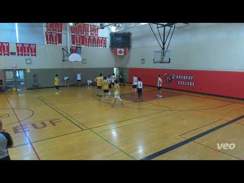 Cage vs Wayside - sunday tier 15 - tcbl 2022 summer