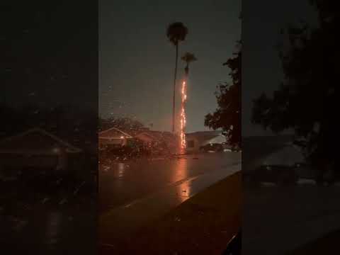 Lightning Strike Sets Tree On Fire In Scottsdale, AZ During Storms