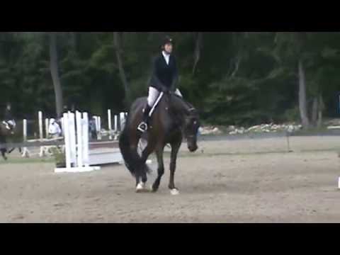 VT Summer Festival Week 6 August 2016 (Row Eleven)