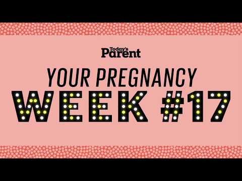 Your pregnancy: 17 weeks