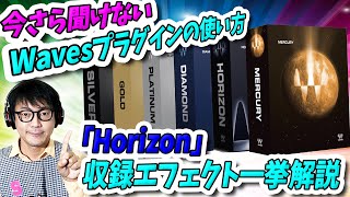 「DTM」今さら聞けない「WAVES」プラグインの使い方「HORIZON」収録エフェクト一挙解説!【プラグイン】