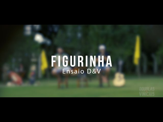 Música Figurinha (Ao Vivo) - Douglas e Vinicius (Com MC Bruninho) (2020) 
