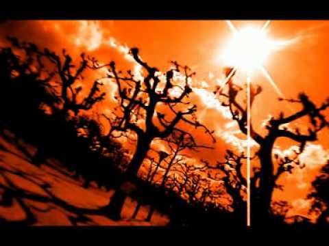 BZ - Boese Zungen - 1000 Bar / Komm Doch ft Baggefudda