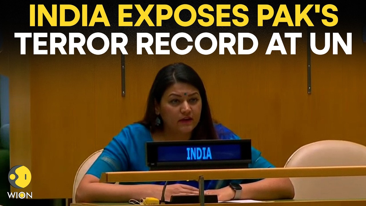 India Fires Back at Pakistan: 'They Claim Security, They Carry Out Terror' | WION Originals