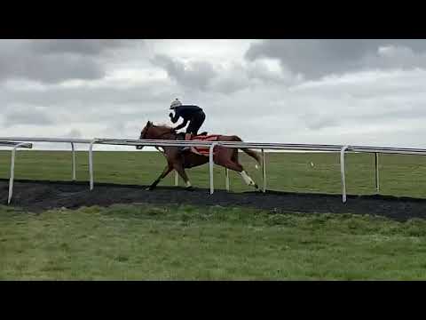 Balgair - Warren Hill - 3rd April