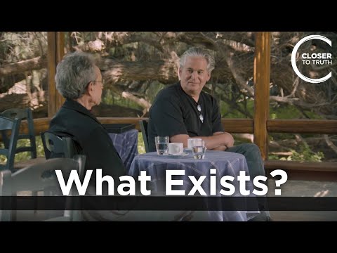 David Albert - What Exists?