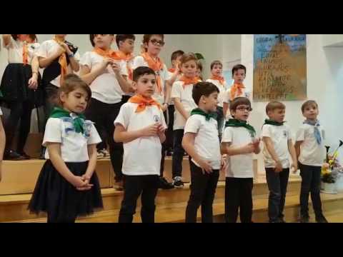 Licuricii azs învingători.. Cântecul animalelor