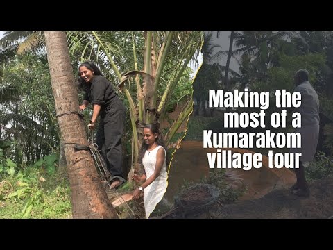 LDF misused public funds to 'glorify' itself: Plea in HC challenging state govt ads | Kerala News | Onmanorama